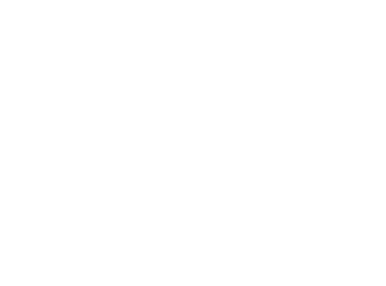 Vmax Logo White